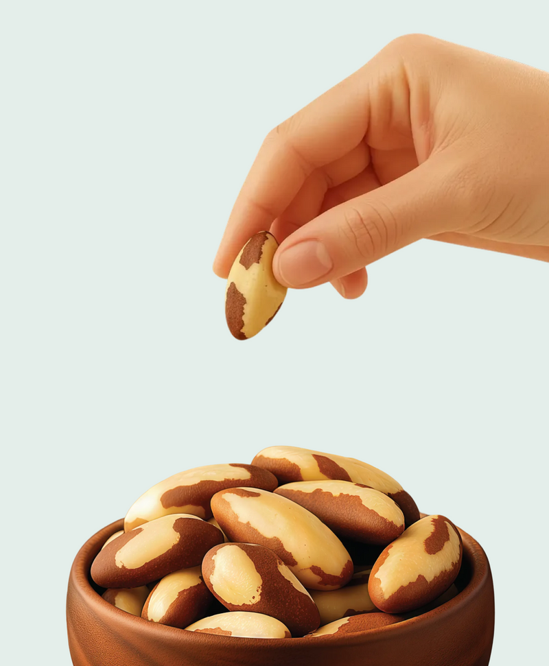 Brazil Nuts — story