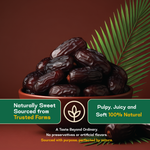 Kalmi Dates — SeedToSoul Premium Dry Fruits