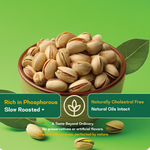 Salted Pista — SeedToSoul Premium Dry Fruits