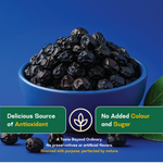 Dried Blueberries — SeedToSoul Premium Dry Fruits