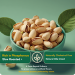 Irani Salted Pista — SeedToSoul Premium Dry Fruits