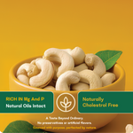 Jumbo Cashew — SeedToSoul Premium Dry Fruits