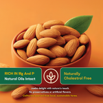 Jumbo Almond — SeedToSoul Premium Dry Fruits