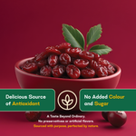 Dried Cranberries — SeedToSoul Premium Dry Fruits