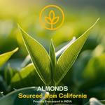 Jumbo Almond — SeedToSoul Premium Dry Fruits