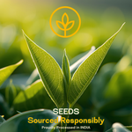 Quiona Seeds — SeedToSoul Premium Dry Fruits