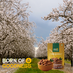 Premium  Almonds — SeedToSoul Premium Dry Fruits