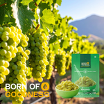 Long Seedless Kismiss — SeedToSoul Premium Dry Fruits