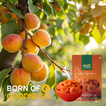Dried Apricots — SeedToSoul Premium Dry Fruits