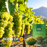 Seedless Kismiss — SeedToSoul Premium Dry Fruits