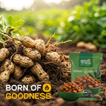 Chatpata Masala Peanuts — SeedToSoul Premium Dry Fruits