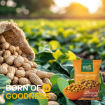 Hing Jira Peanuts — SeedToSoul Premium Dry Fruits
