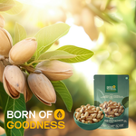 Irani Salted Pista — SeedToSoul Premium Dry Fruits