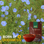 Flax Seeds — SeedToSoul Premium Dry Fruits