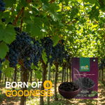 Afgani Kismiss — SeedToSoul Premium Dry Fruits