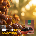 Oman Seedless Dates — SeedToSoul Premium Dry Fruits