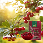 Dried Cranberries — SeedToSoul Premium Dry Fruits