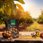 Inshell Walnut — SeedToSoul Premium Dry Fruits
