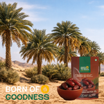 Dates Arabian — SeedToSoul Premium Dry Fruits