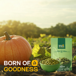 Pumpkin Seeds — SeedToSoul Premium Dry Fruits