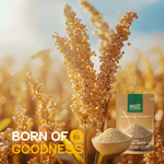Quiona Seeds — SeedToSoul Premium Dry Fruits