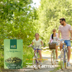 Pumpkin Seeds — SeedToSoul Premium Dry Fruits