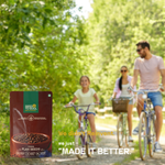 Flax Seeds — SeedToSoul Premium Dry Fruits