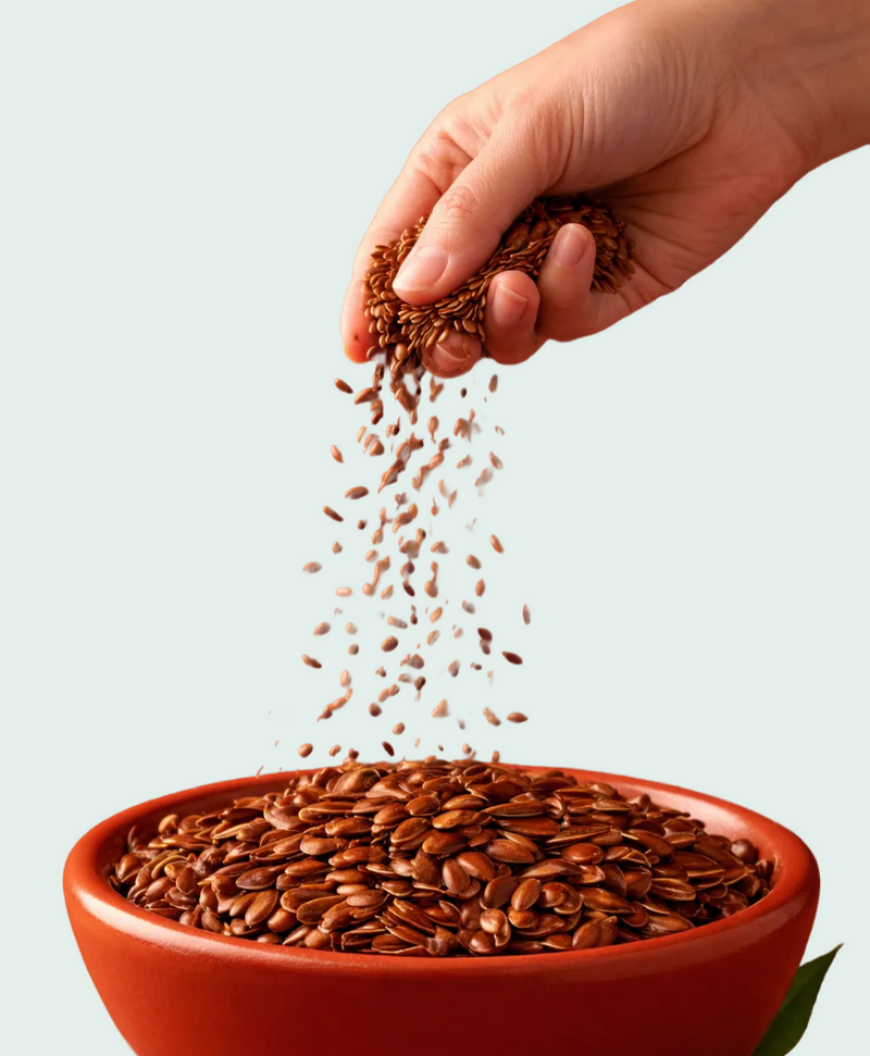 Flax Seeds — story