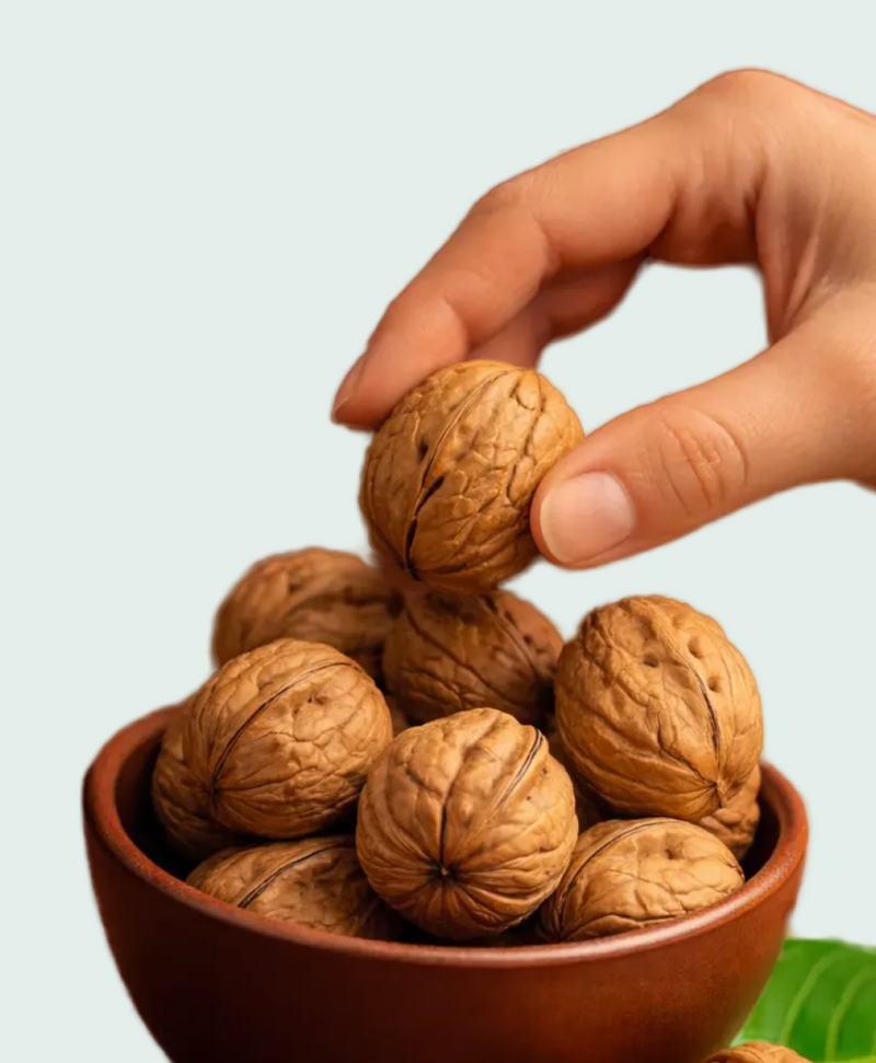 Walnut In-shell (Akhrot) — story