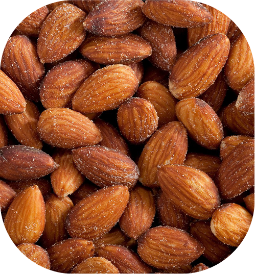 Premium Craftsmanship Focus