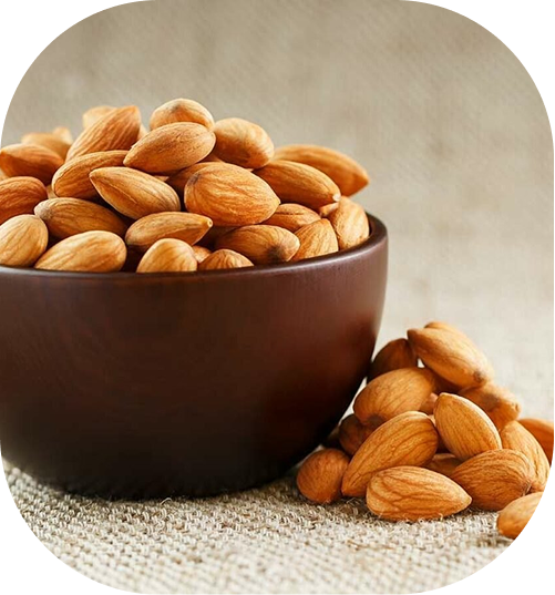 Authentic Tradition Essence