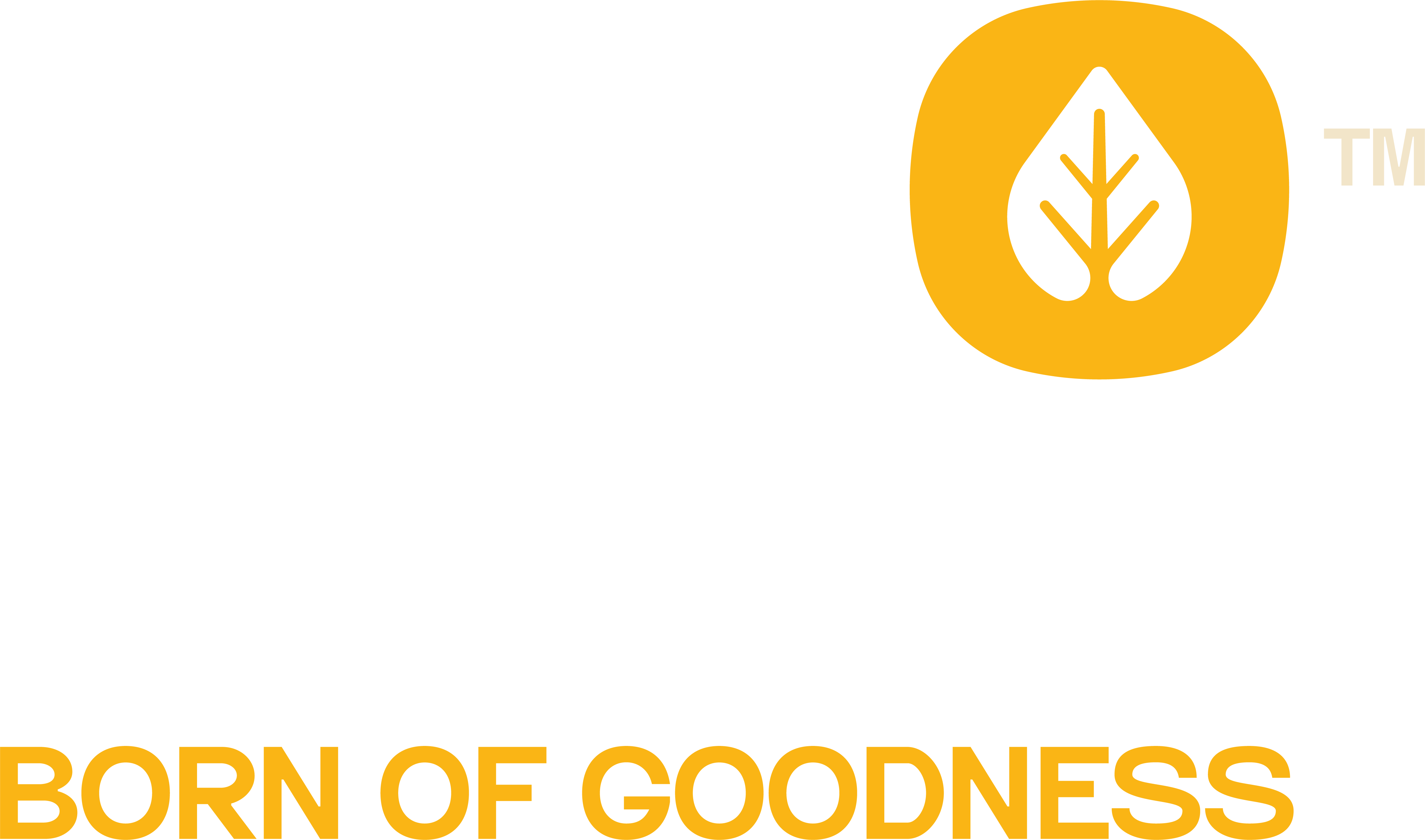 Seed to Soul Logo